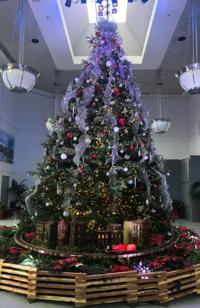 Pinetum Christmas Tree Farm Certified For Over 50 Years Garrett News Wvnews Com