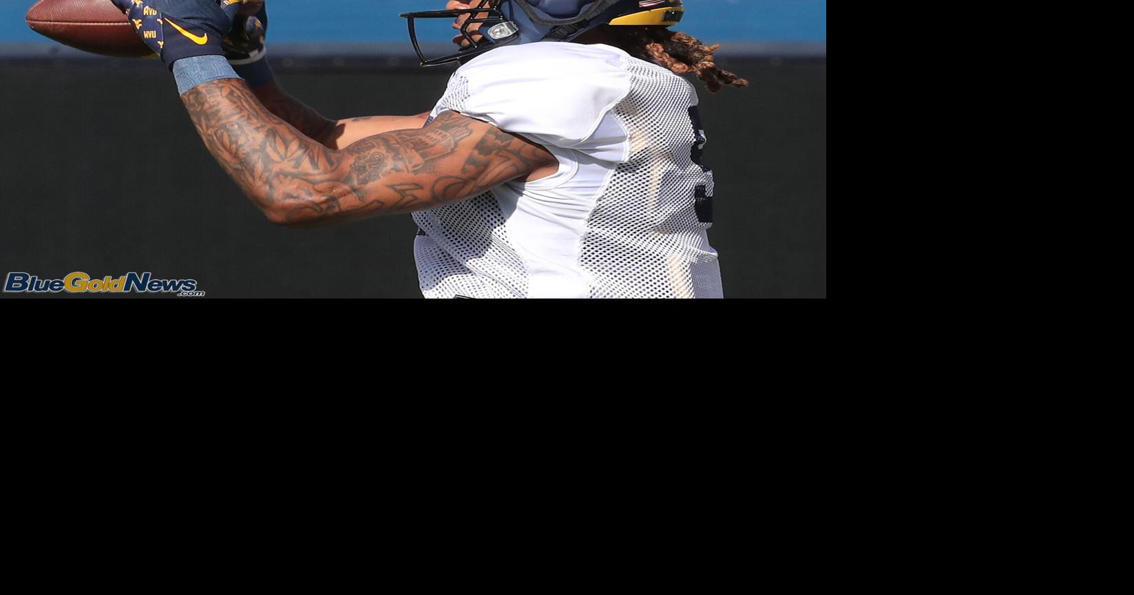 Analytic-driven improvement a significant focus for WVU in spring ...