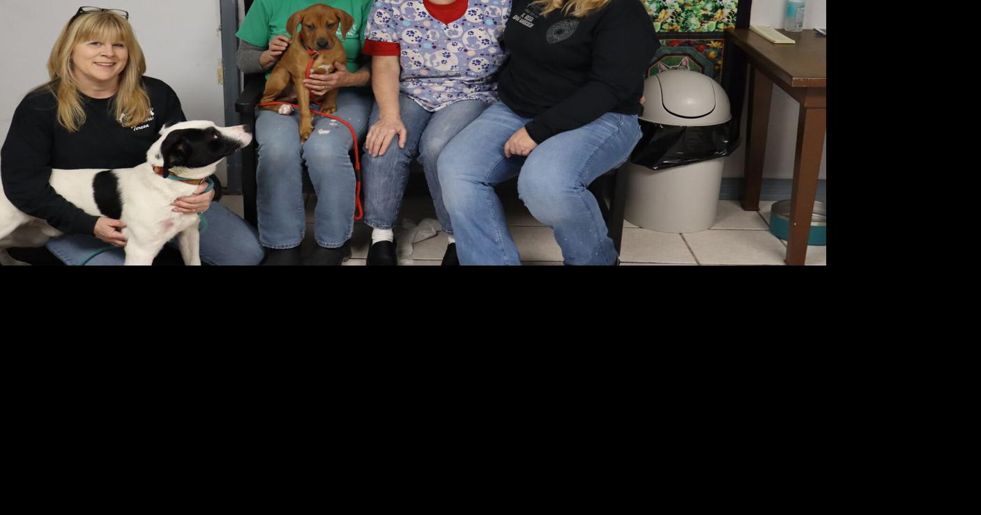 Preston County Animal Shelter staff