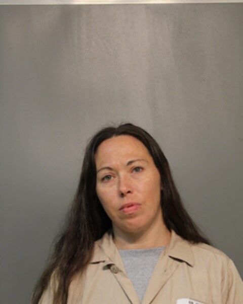 Felon who brought gun to probation appointment pleads guilty to felony ...