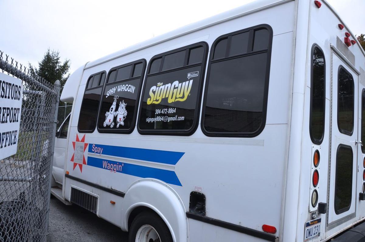 Spay And Neuter Programs Help Reduce Pet Overpopulation Local