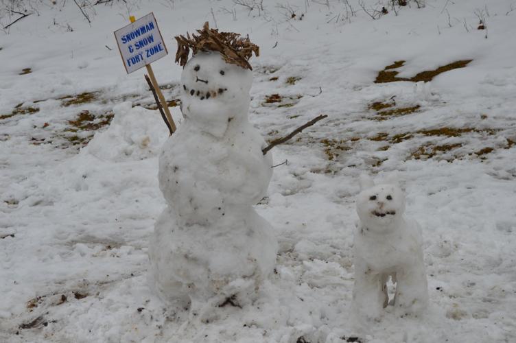 Do you want to build a snowman?