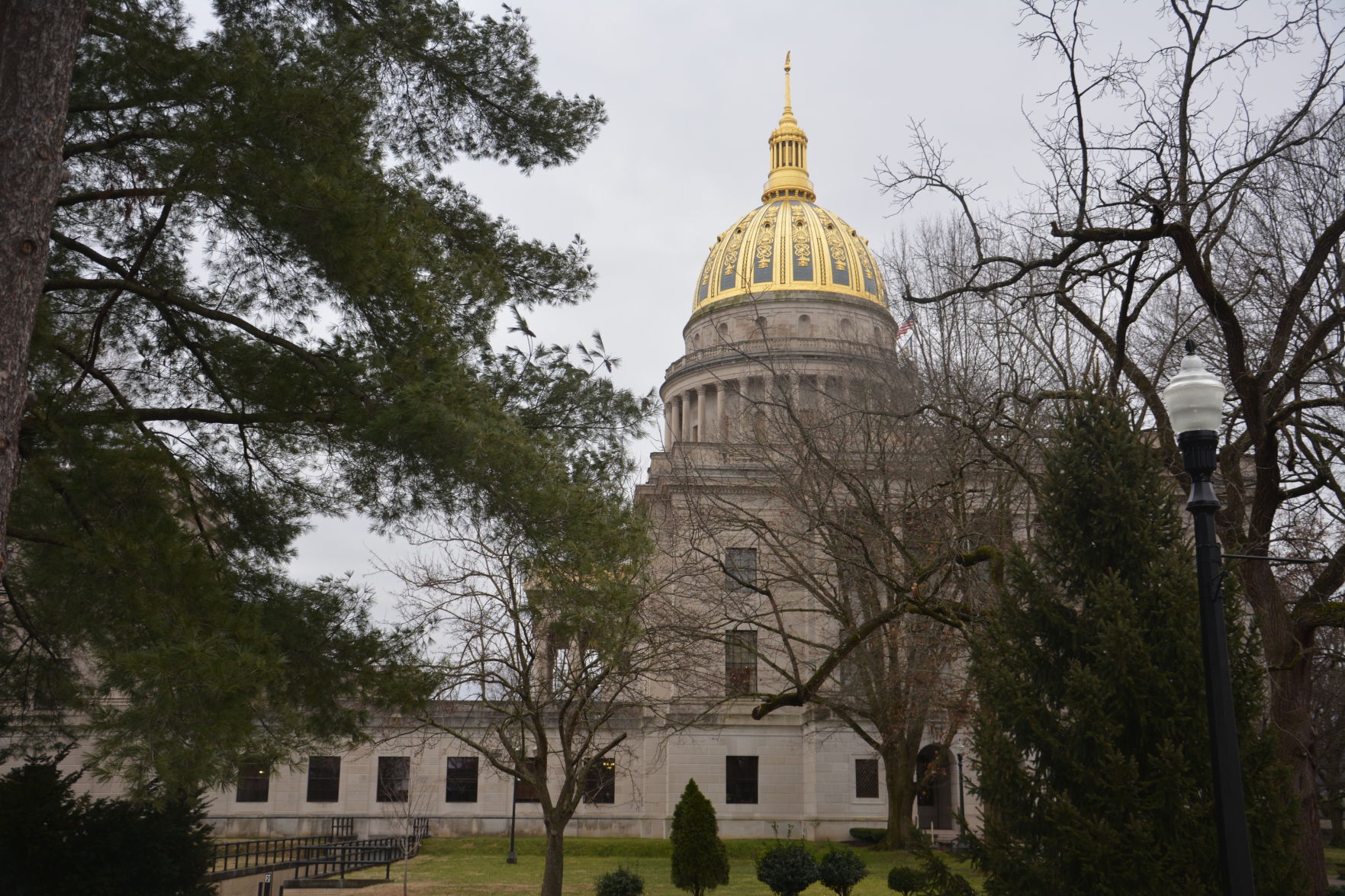 house of delegates