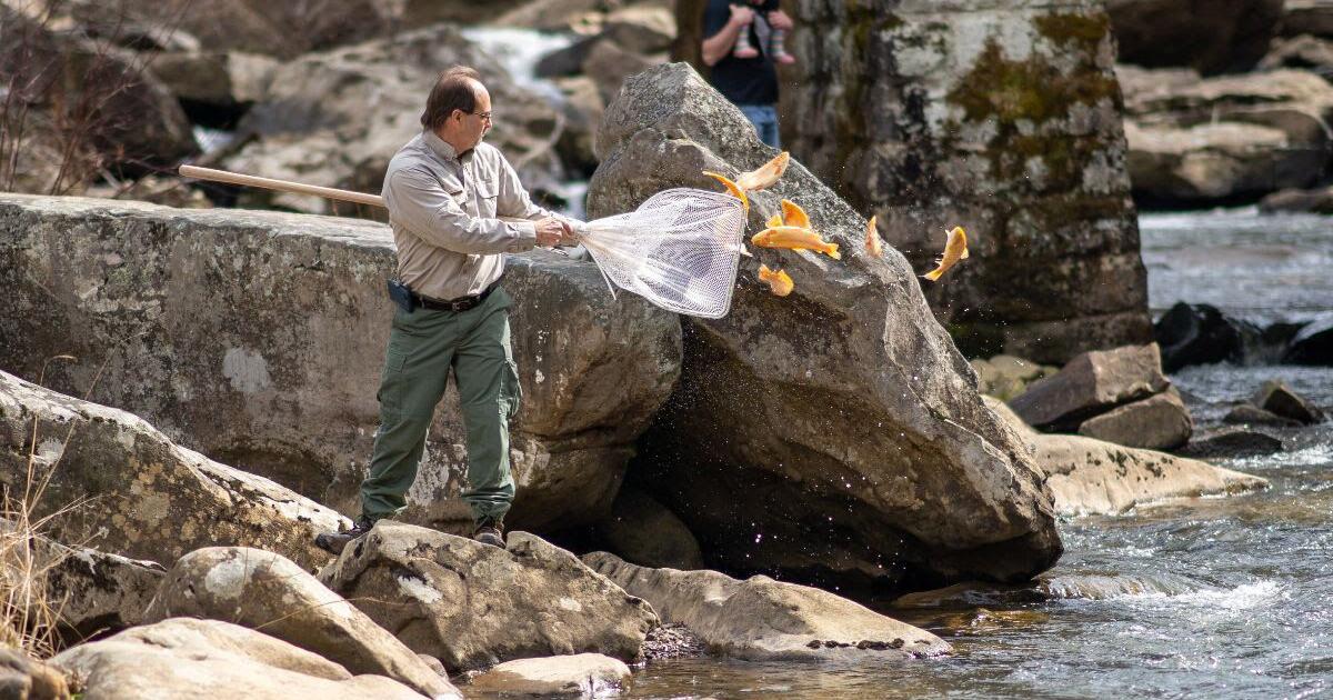 West Virginia Gold Rush to return for 6th year Tuesday WV News