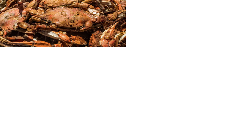 Businesses step up to help with crab feast fund raiser - Vimarsana News