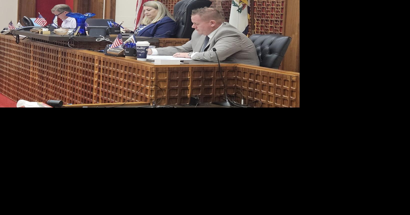 Lewis County Commission approves distribution of fire protection funds to six county departments, reviews success of local park