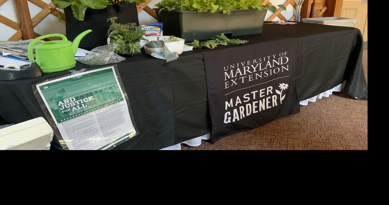 From cold frames to buckets: Low-cost early planting methods to get tomatoes and peppers faster