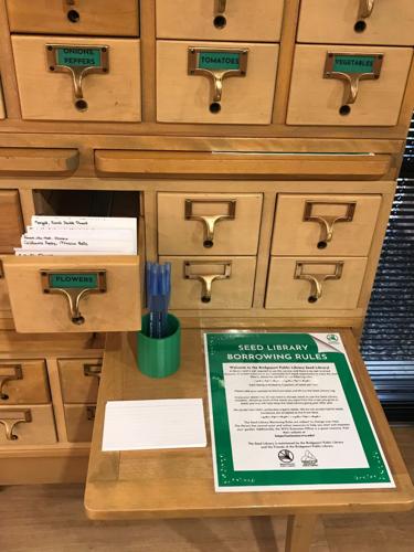 Friends of the Bridgeport (West Virginia) Public Library members ...