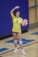 Northern volleyball eliminated by Clear Spring