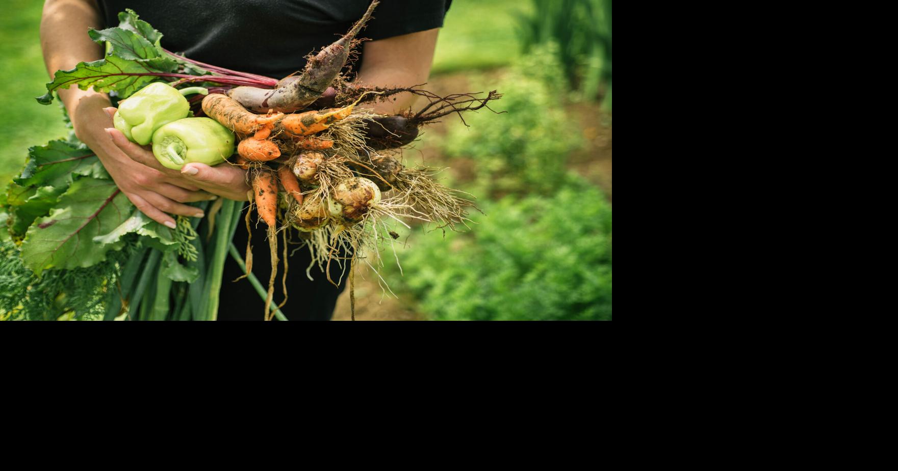 USDA to expedite $10 billion in aid to farmers through ECAP | Preston ...