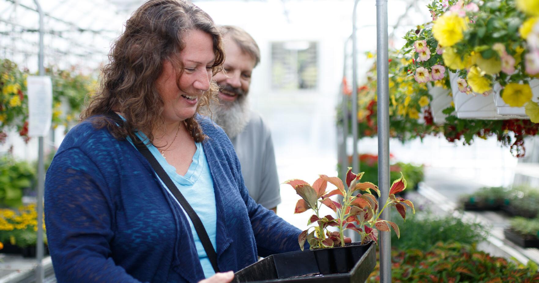 Produce for sale: Harrison County (West Virginia) FFA students open greenhouse for the season - Vimarsana News
