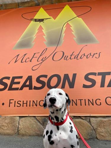 Tenth Annual Gun Bash Scheduled For October 8 Wvnews Com