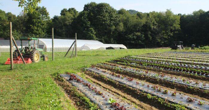 Federal farm grants partially restored by judge’s order