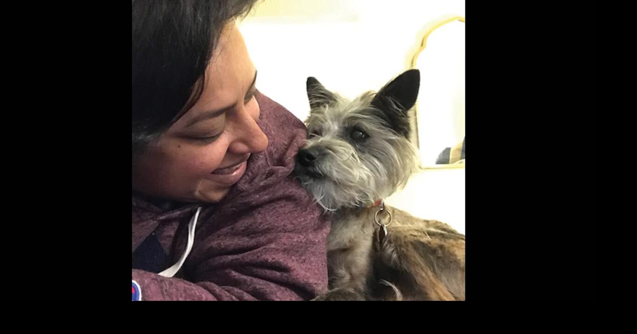 Mesa woman’s dog bed invention wins kudos | Business
