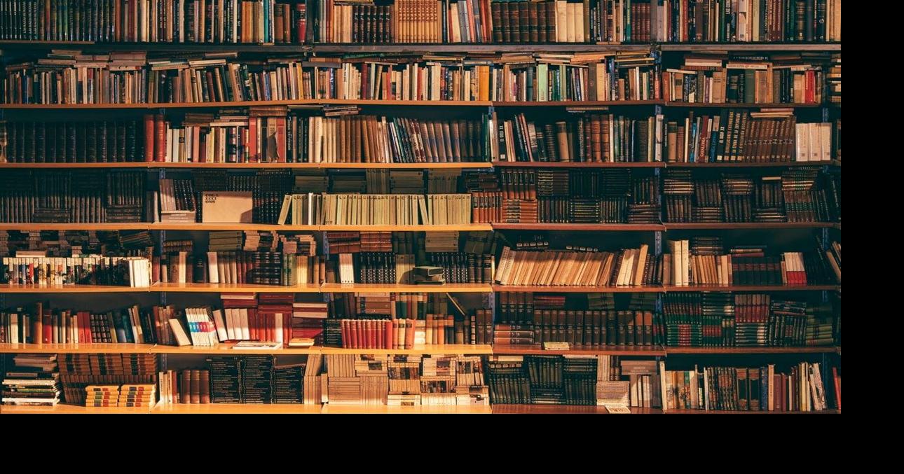 Bill would ban Mesa school libraries use state funds for librarian group dues