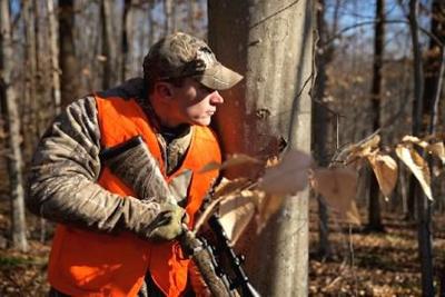 Twin Falls To Host Controlled Deer Hunt Local News Wycoreport Com