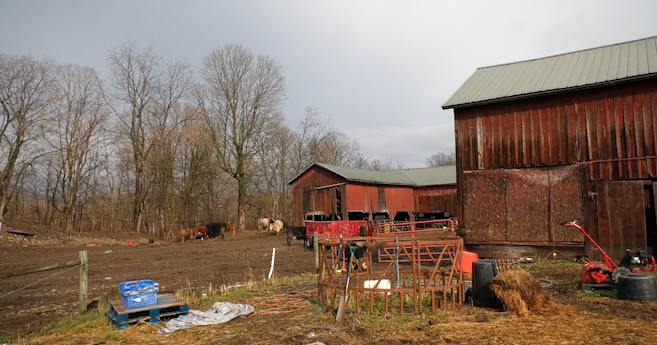 How farmers can combat the rising cost of fertilizer