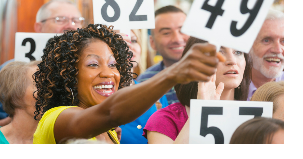 Chemung County Announces Online Property Auction Over 100 properties