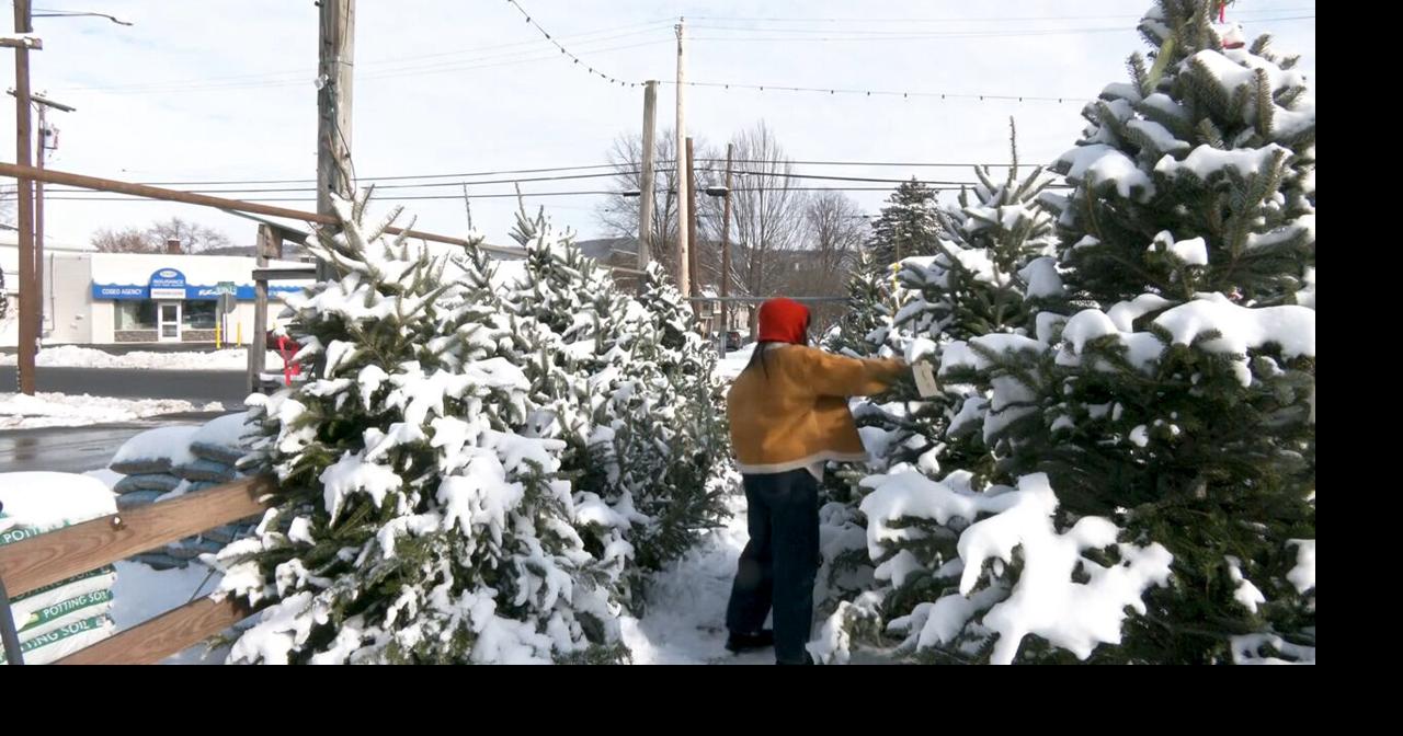 Twin Tiers Christmas tree sale going strong despite national decline