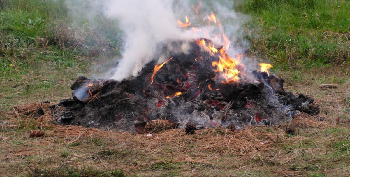 New York issues temporary burn ban as fire danger rises across Southern Tier