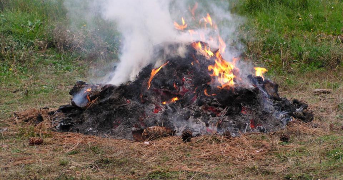 New York issues temporary burn ban as fire danger rises across Southern Tier