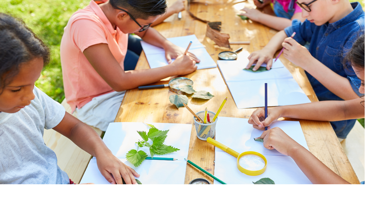 Parents Navigate Rising Camp Prices As Summer Approaches Homepage