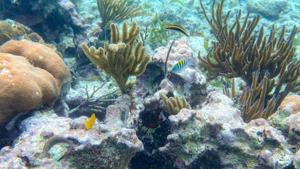 How to plan a 9-day trip to Belize