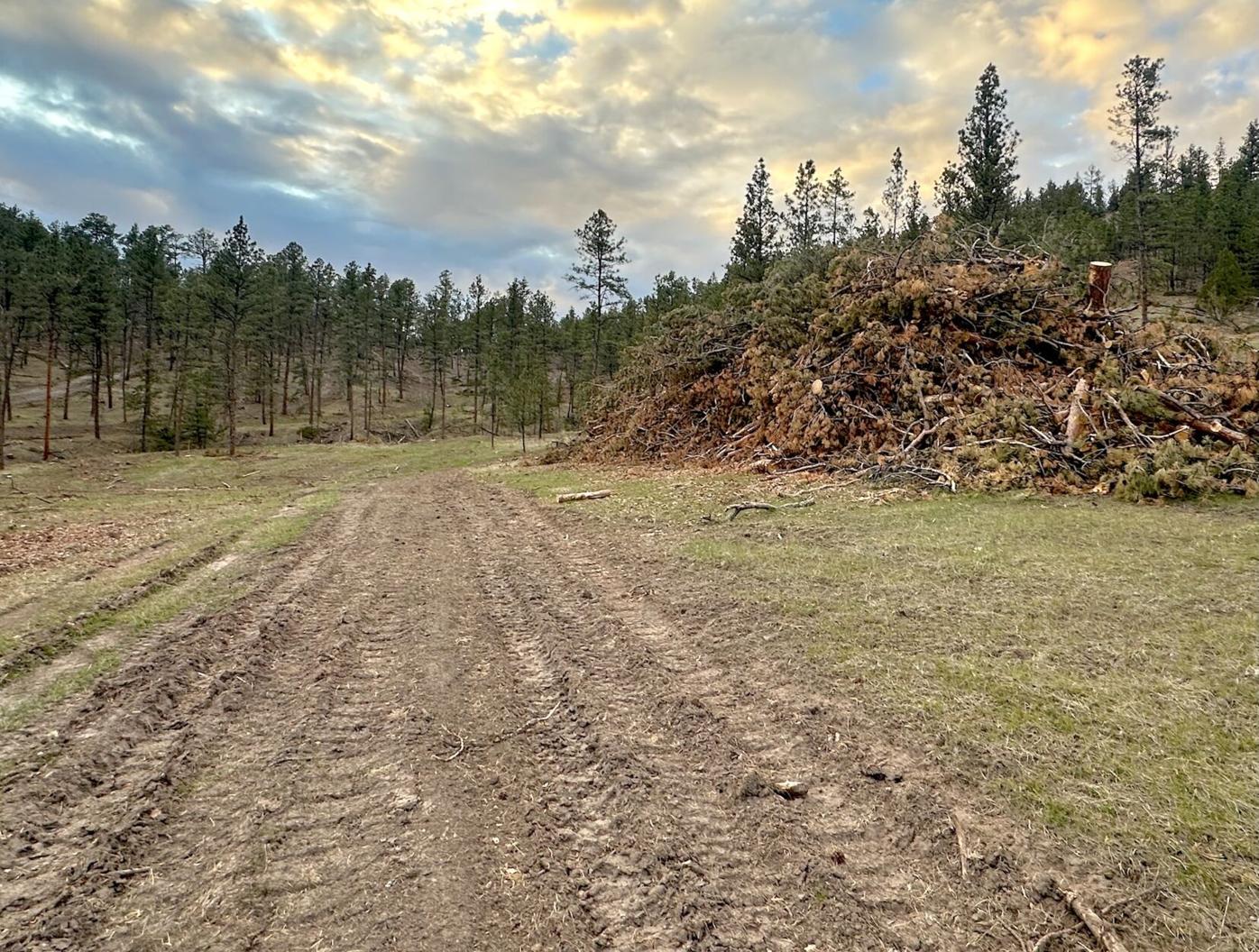 h&r block on tobacco road Wyoming's Hageman aims to block future 'roadless areas' | News