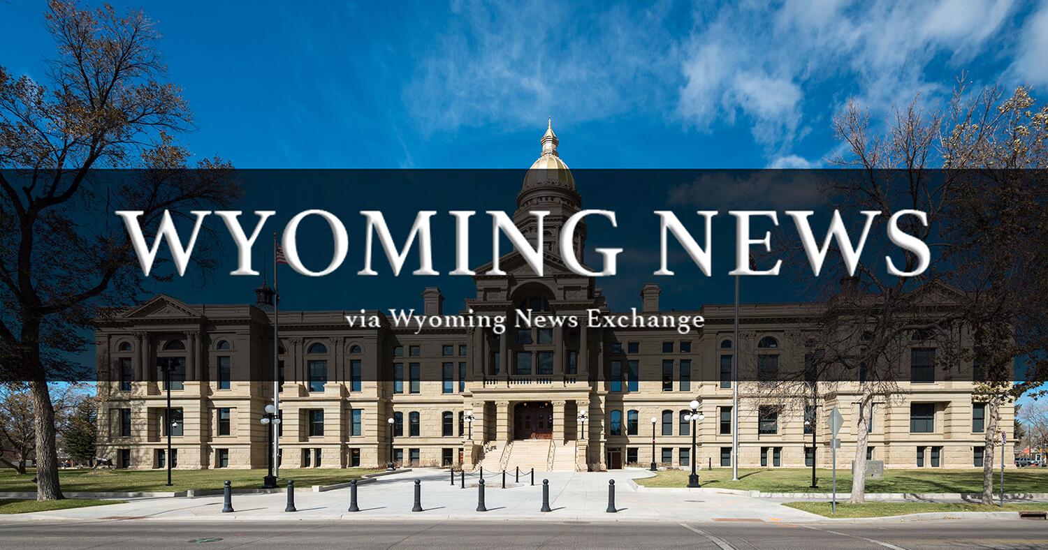 Strangulation defendant to stand trial for first- degree murder - Vimarsana News