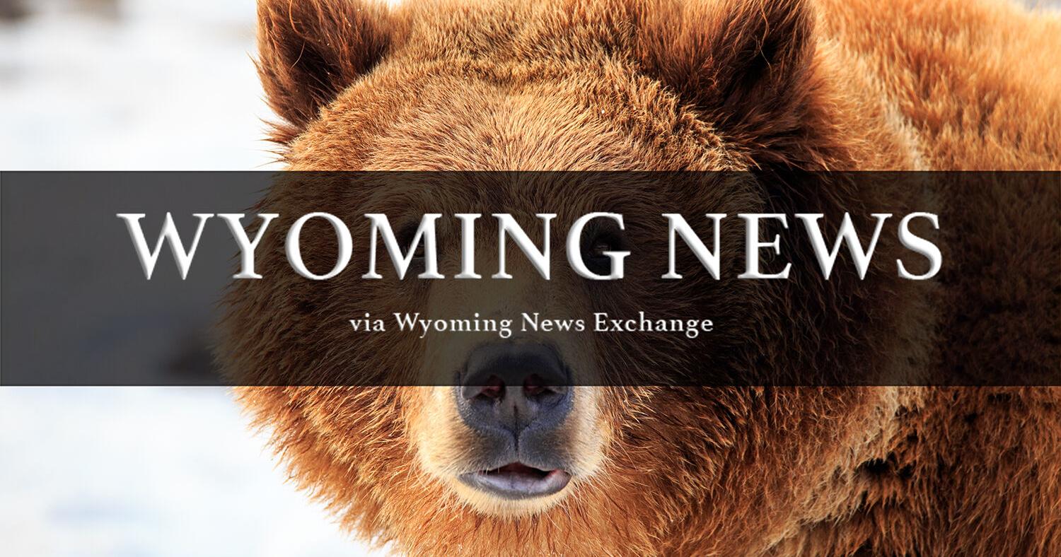 Grizzly found, killed in the Bighorns - Vimarsana News
