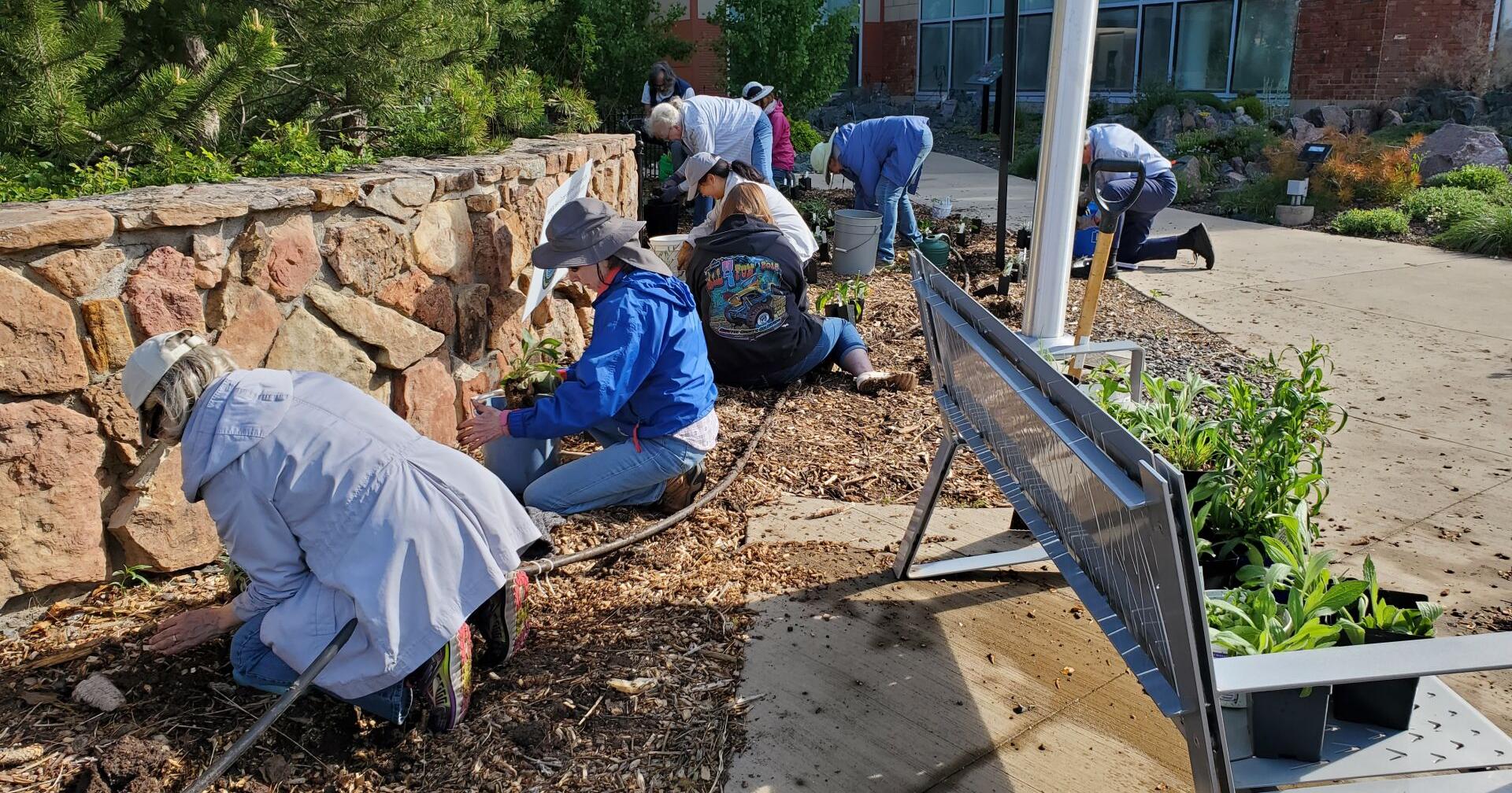 Local gardening wizard retiring - Vimarsana News