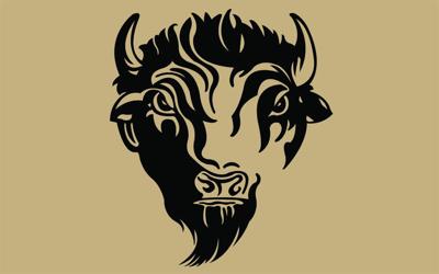 Cheyenne South gold logo.jpg