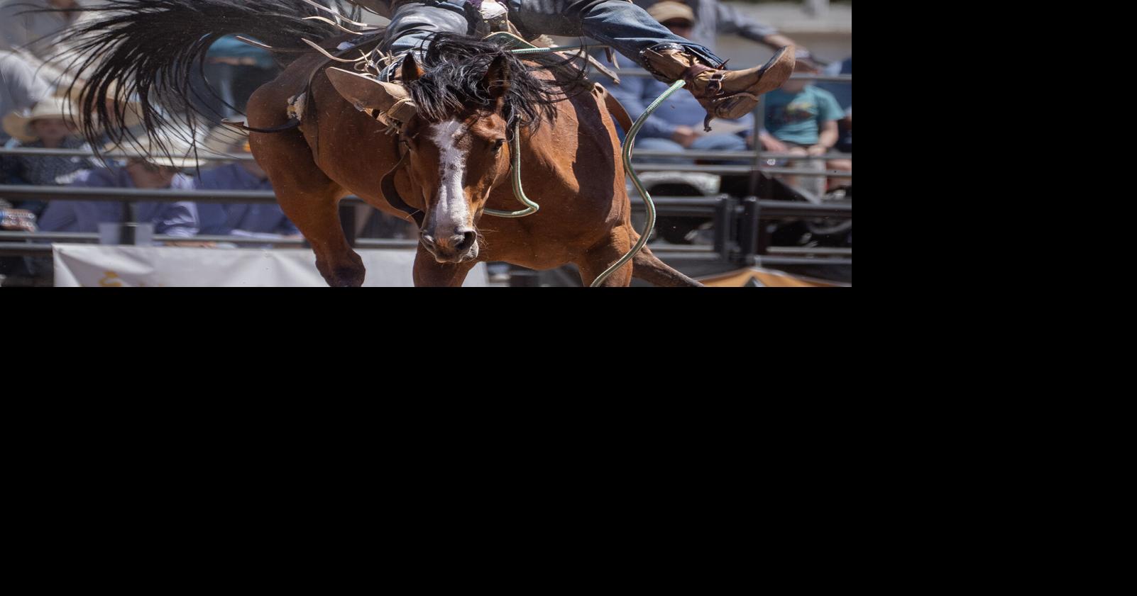 Champions crowned during final day of Laramie Jubilee Days PRCA rodeo