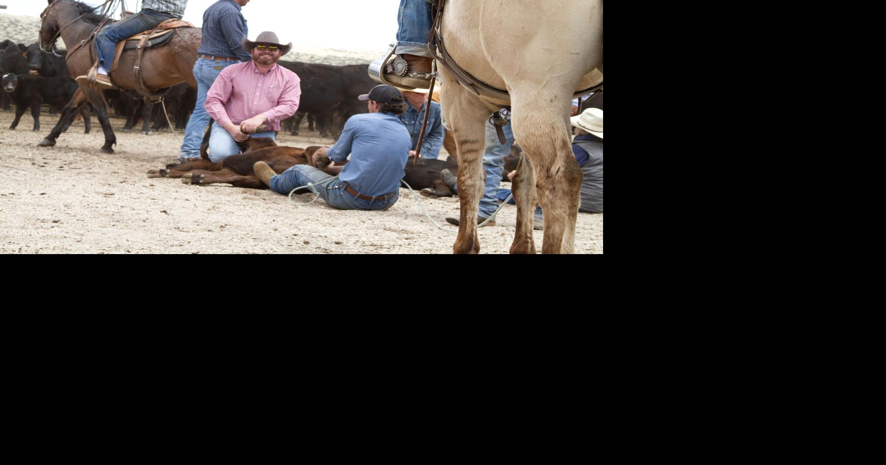 Branding a spring ritual for ranching community