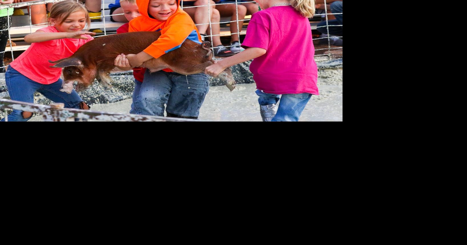 Laramie County Fair gives locals a place to unwind To Do