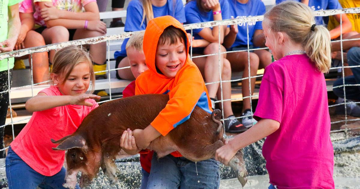 Laramie County Fair gives locals a place to unwind To Do