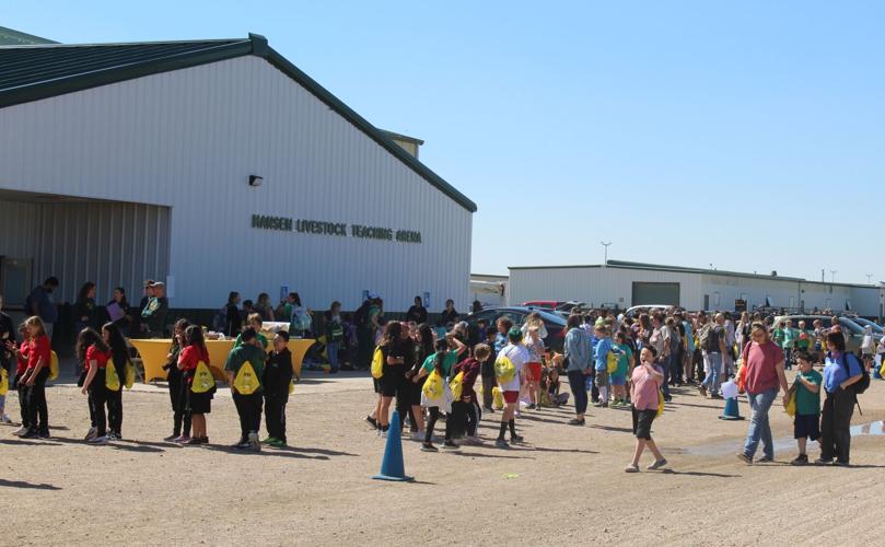 Carnival showcases curiosity for STEM | News | wyomingnews.com