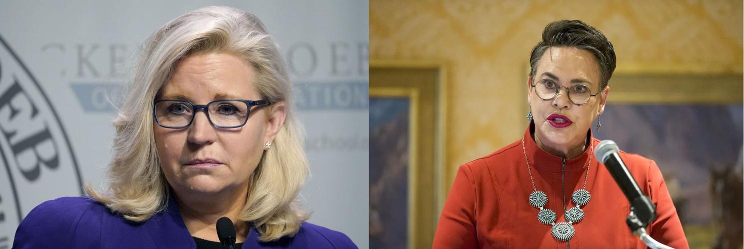 Former Cheney donors send Hageman support | News | wyomingnews.com