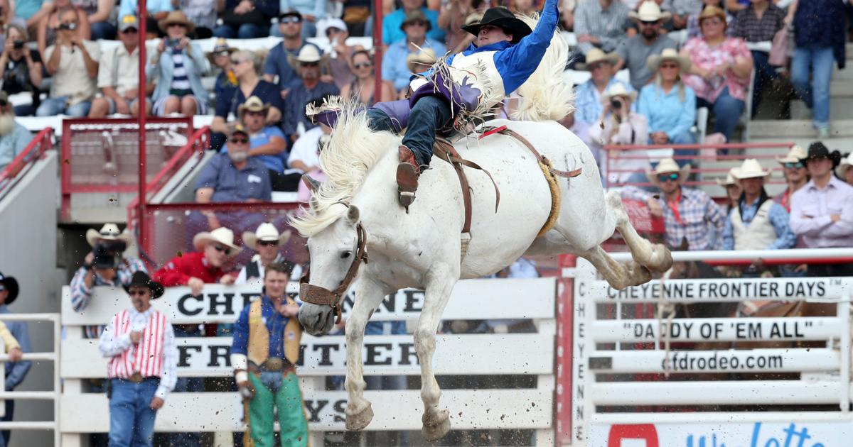 Buffalo bareback rider Cole Reiner caught on quickly | Rodeo ...