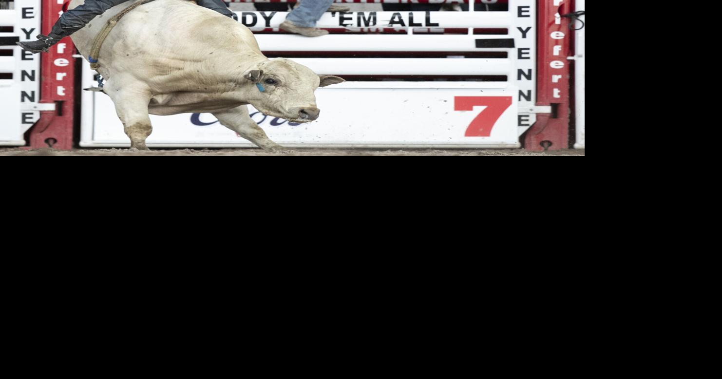 CFD Rodeo Championship Gallery