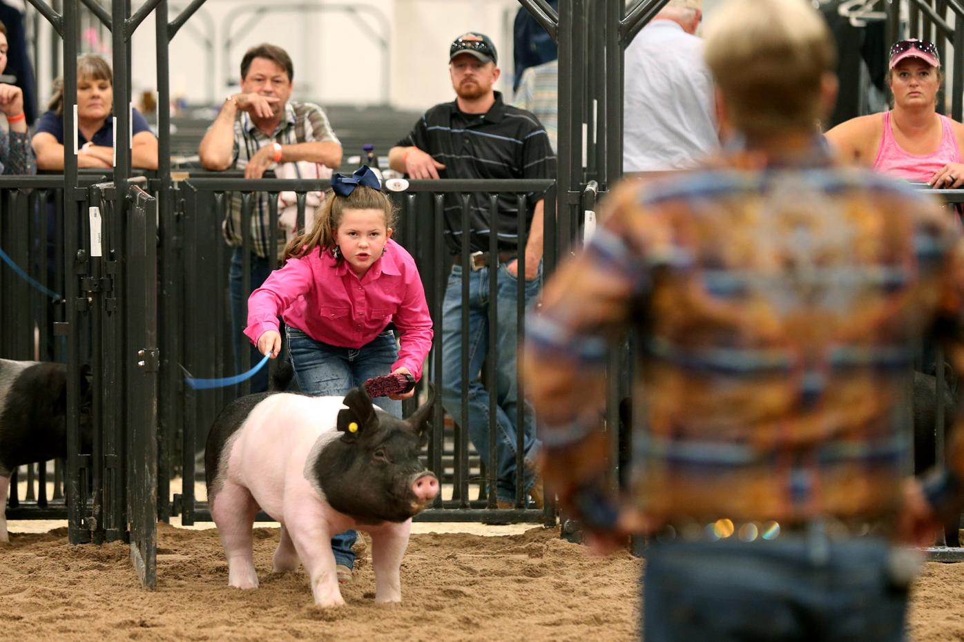 Photos from the 2020 Laramie County Fair Gallery