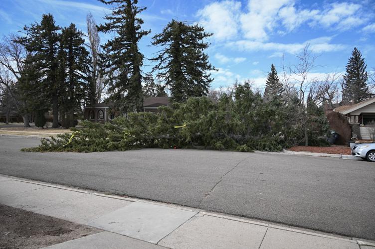 Severe wind storm breaks record and windows; forecast shows cold snap ...