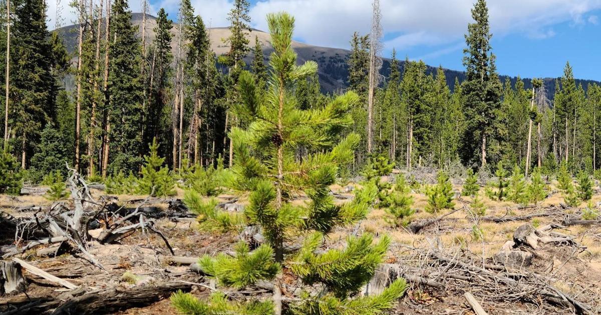 Commissioners support proposed rescission of 2001 Roadless Area Conservation Rule