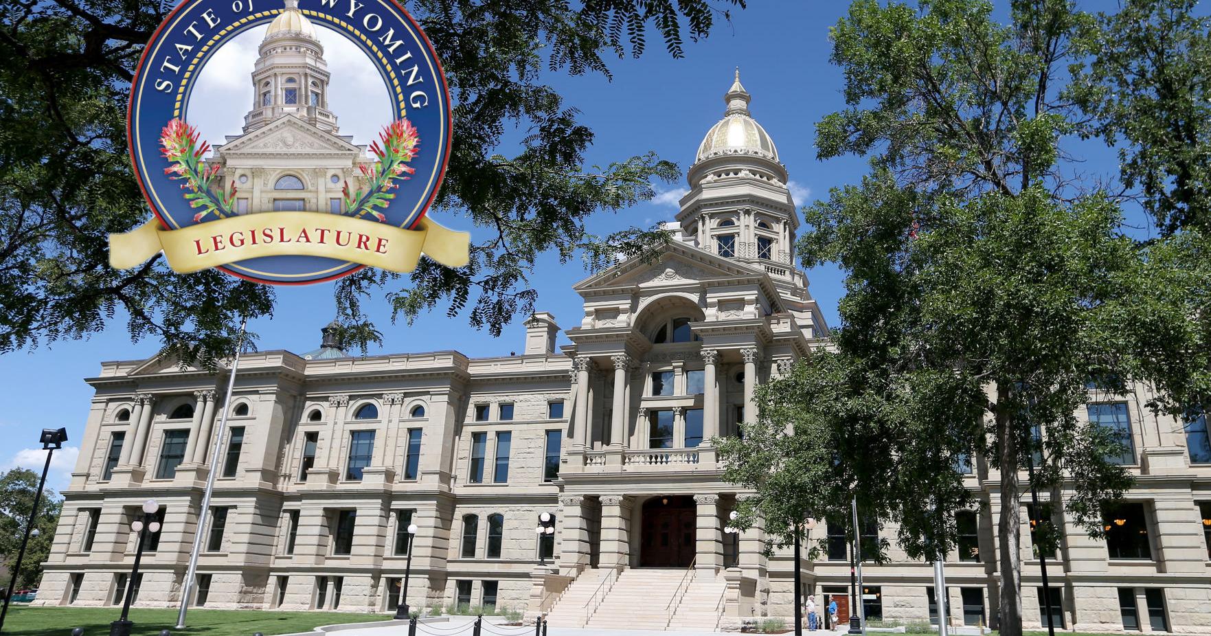 Wyoming lawmakers endorse new voter requirements, broader PAC reporting - Vimarsana News