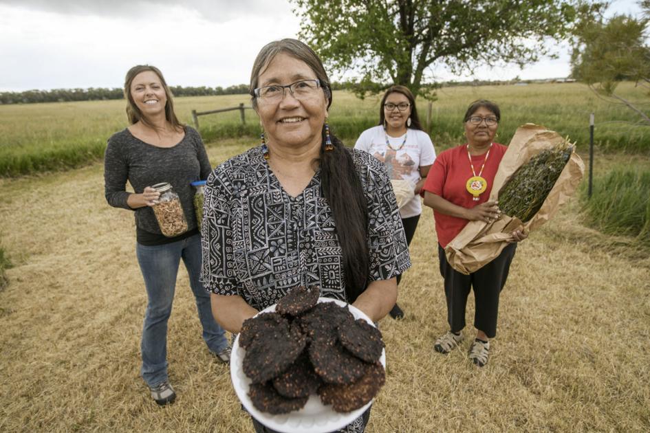 Ancestral food gathering group’s efforts document Shoshone foods, preparation | News