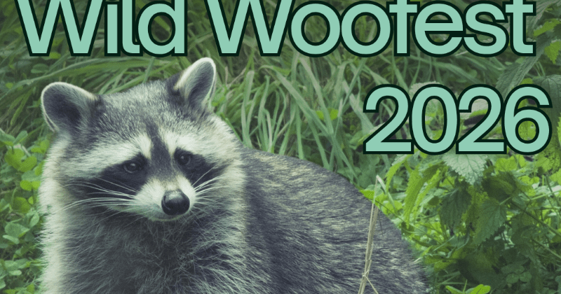 Music festival at Logan Ranch to benefit The Broken Bandit Wildlife Center