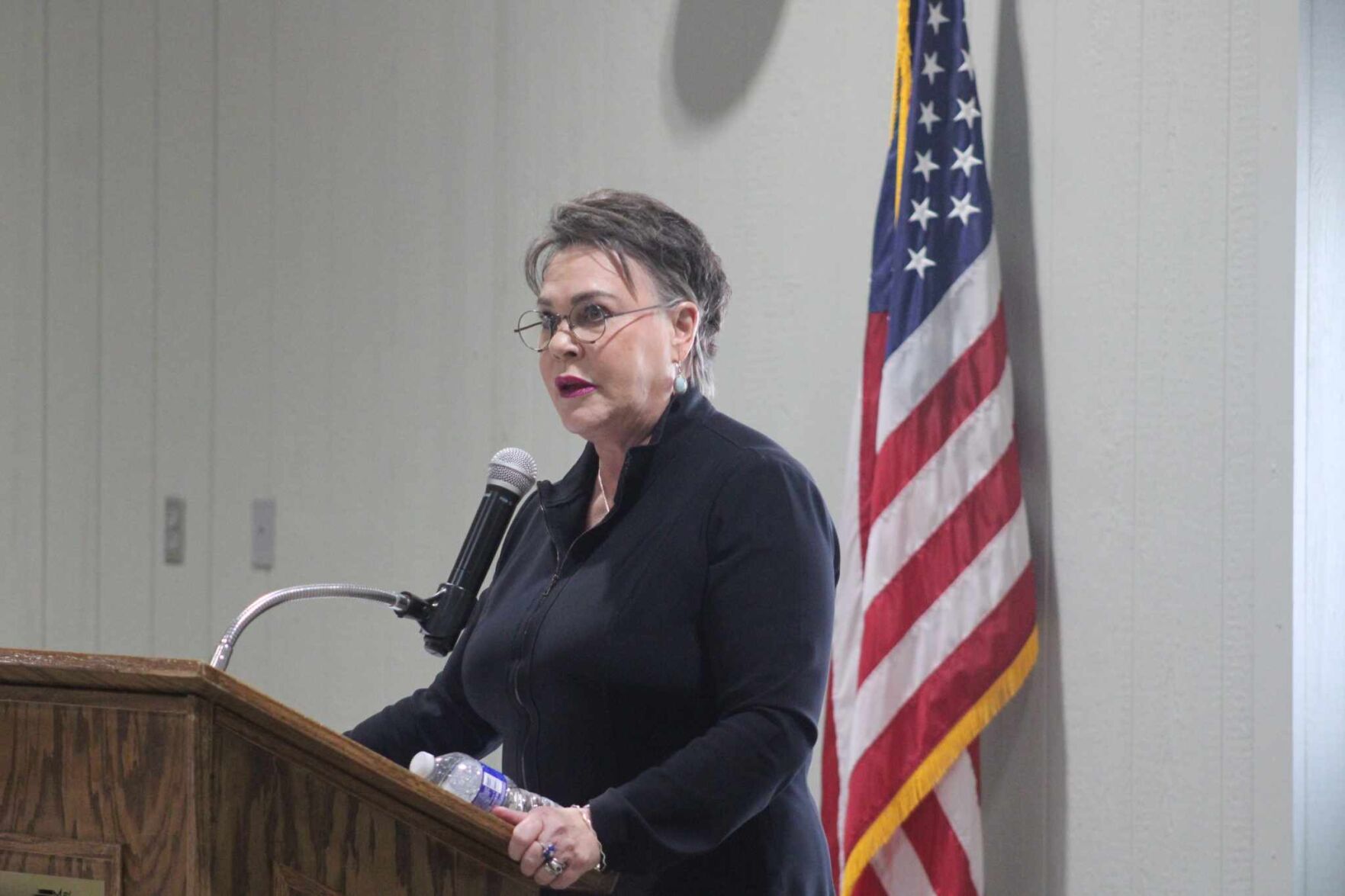 Rep. Hageman declares candidacy for Lummis' U.S. Senate seat | Rawlins ...