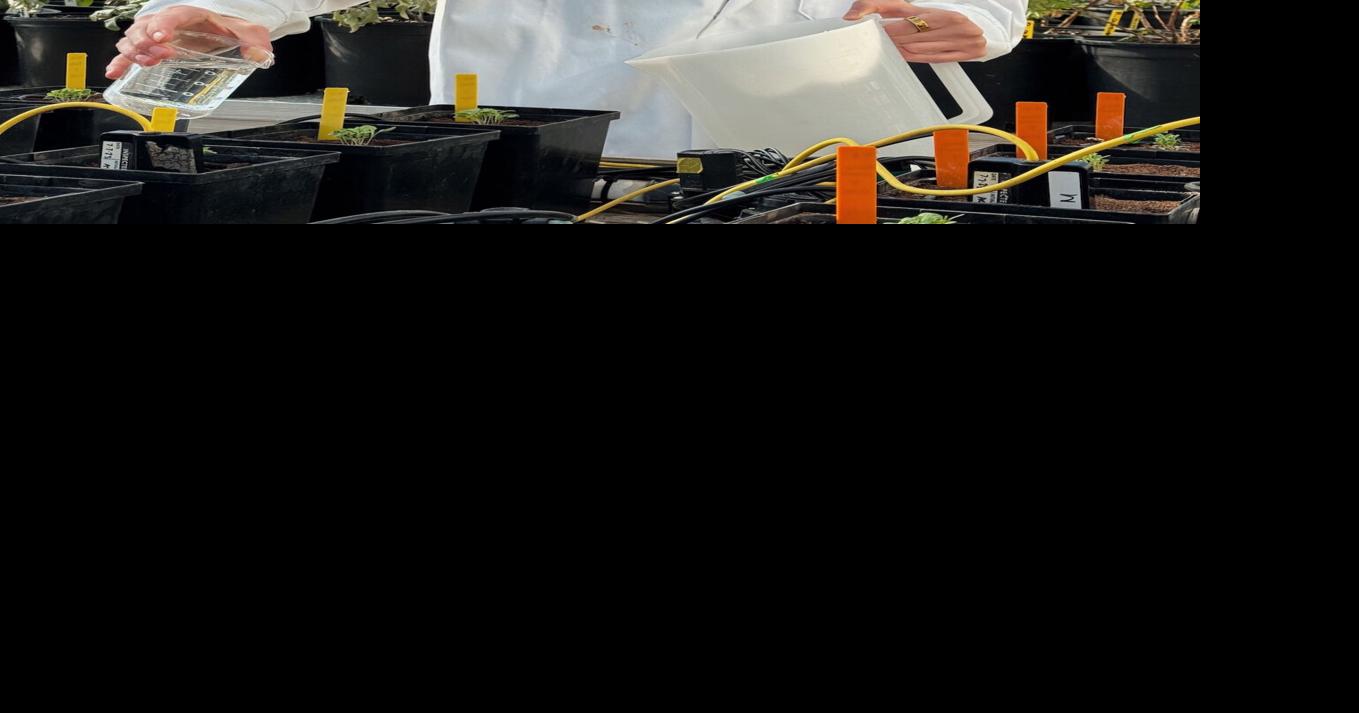 wyoming-student-defies-expectations-with-groundbreaking-space-farming-research-for-nasa