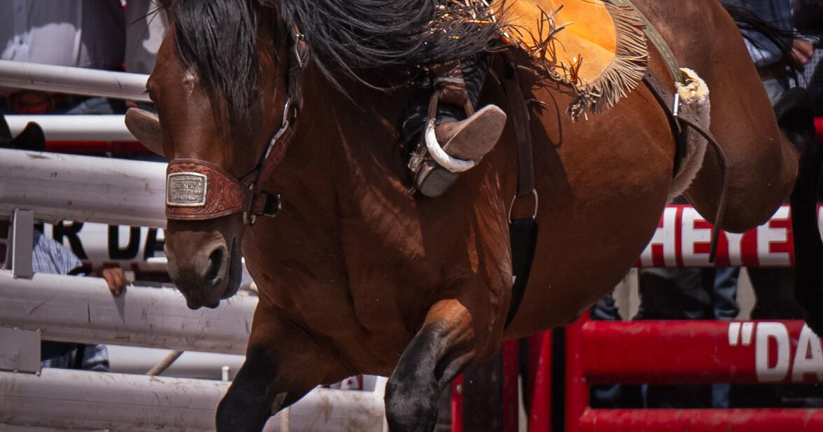 Lawmakers recommend $15M to woo rodeo organization to move headquarters to Wyoming