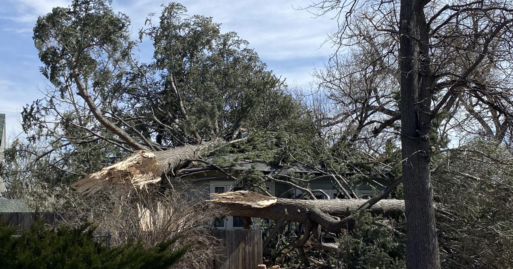 Weekend windstorm rattles Laramie County - Vimarsana News